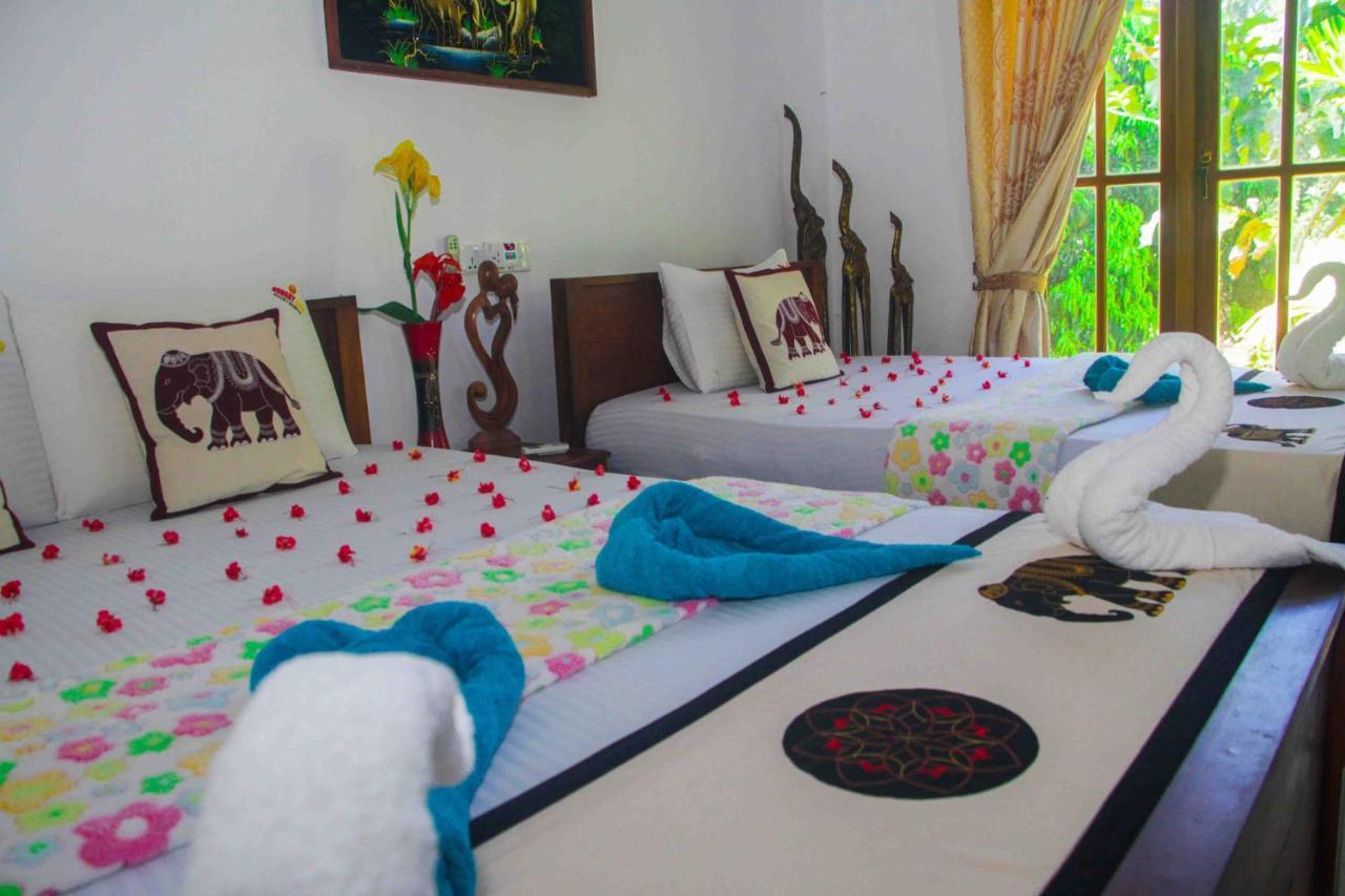 Hungry Lion Sigiriya Hotel Exterior photo