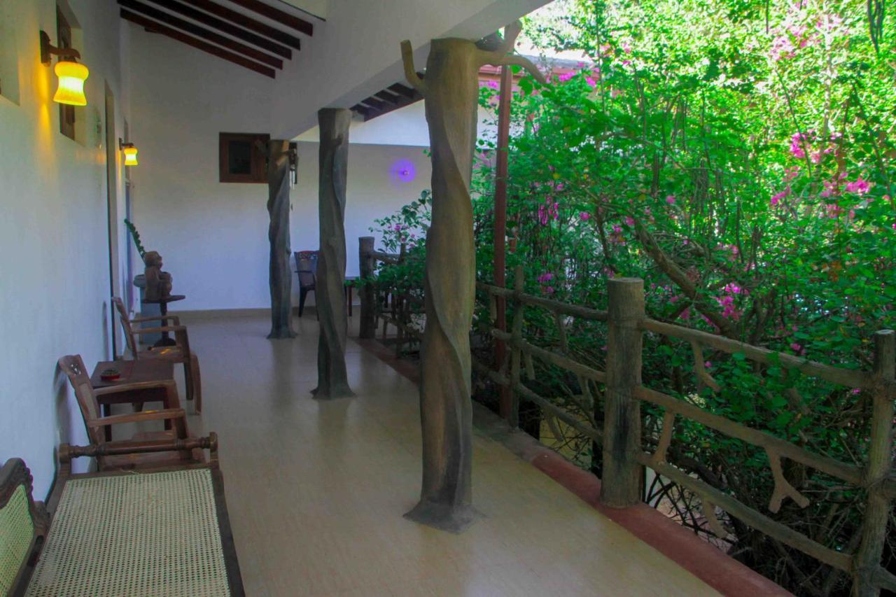 Hungry Lion Sigiriya Hotel Exterior photo