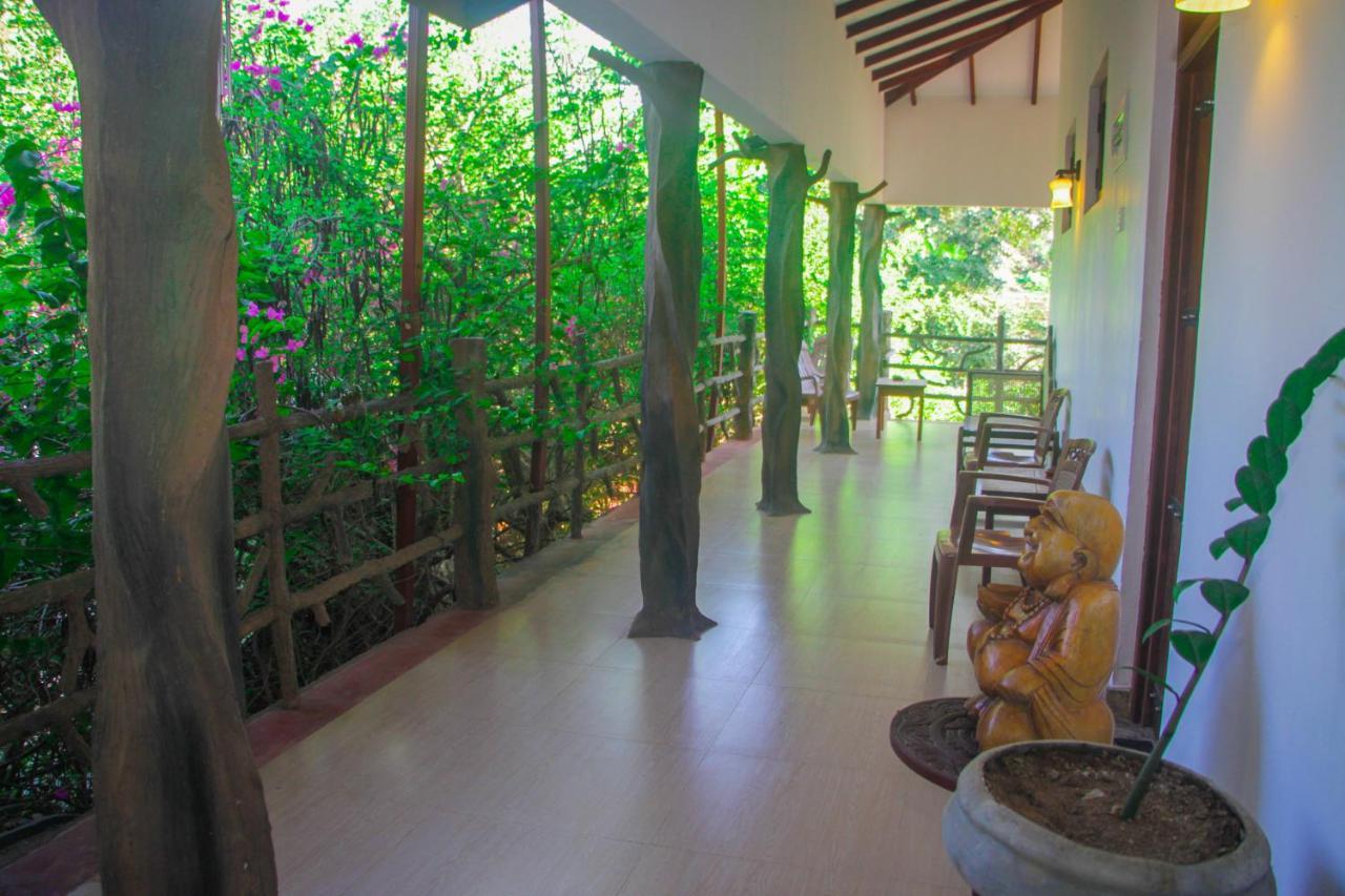 Hungry Lion Sigiriya Hotel Exterior photo