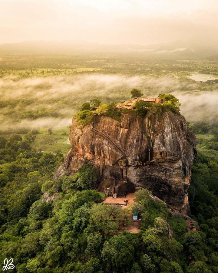 Hungry Lion Sigiriya Hotel Exterior photo